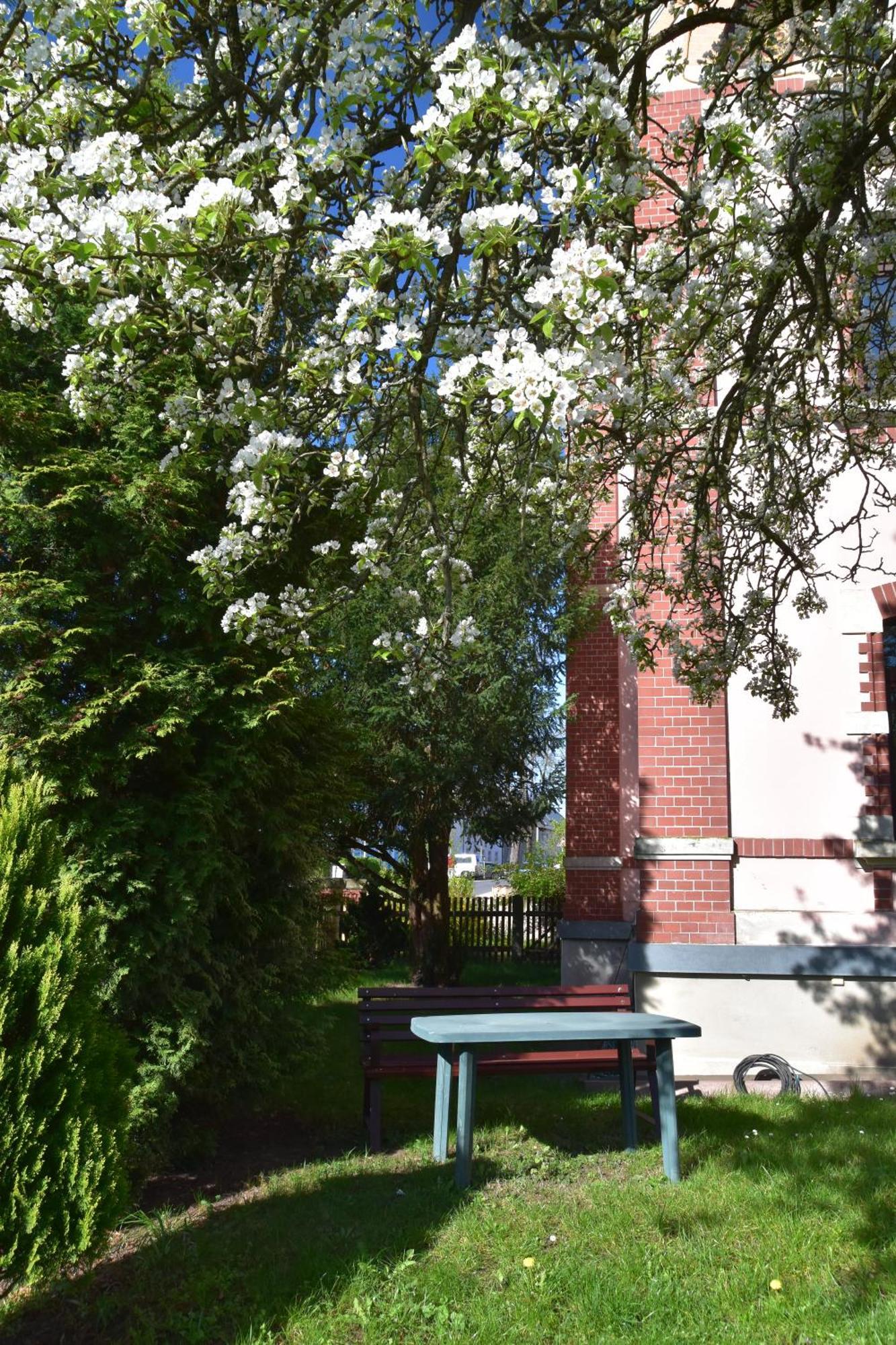 Ferienwohnung Und Pension "Zur Aue" Konigsbruck Exterior photo